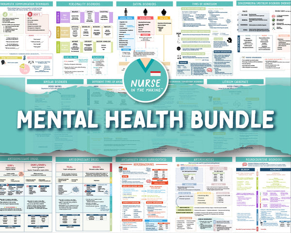 The Complete Nursing School Bundle® | 220+ Pages | Digital Download - Bookread