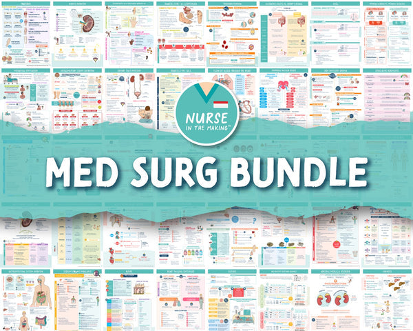 The Complete Nursing School Bundle® | 220+ Pages | Digital Download - Bookread
